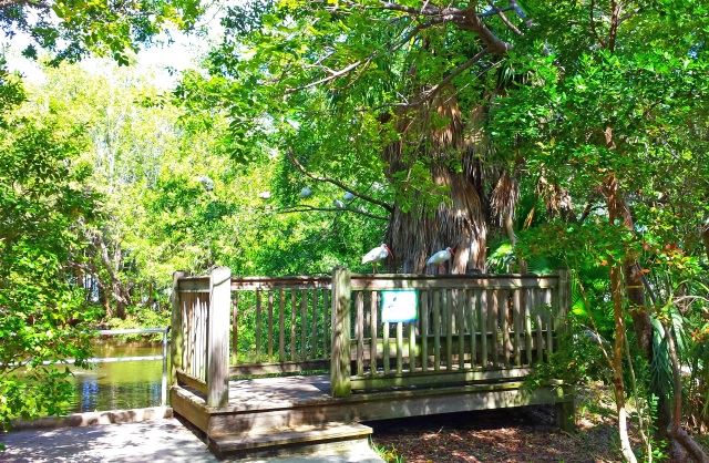 Key West Wildlife Center