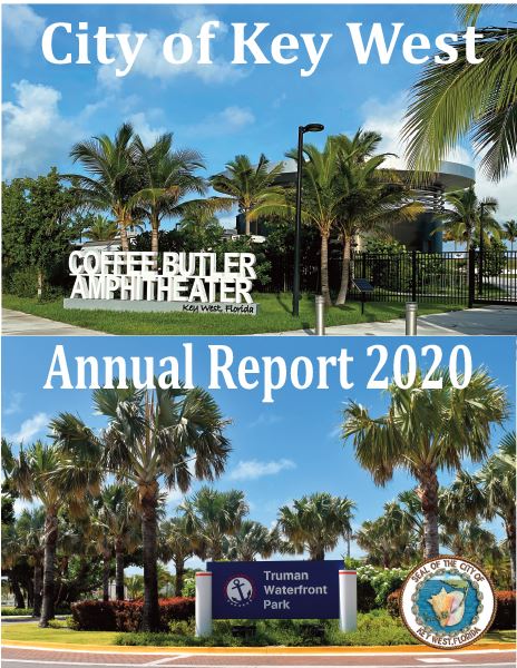report cover