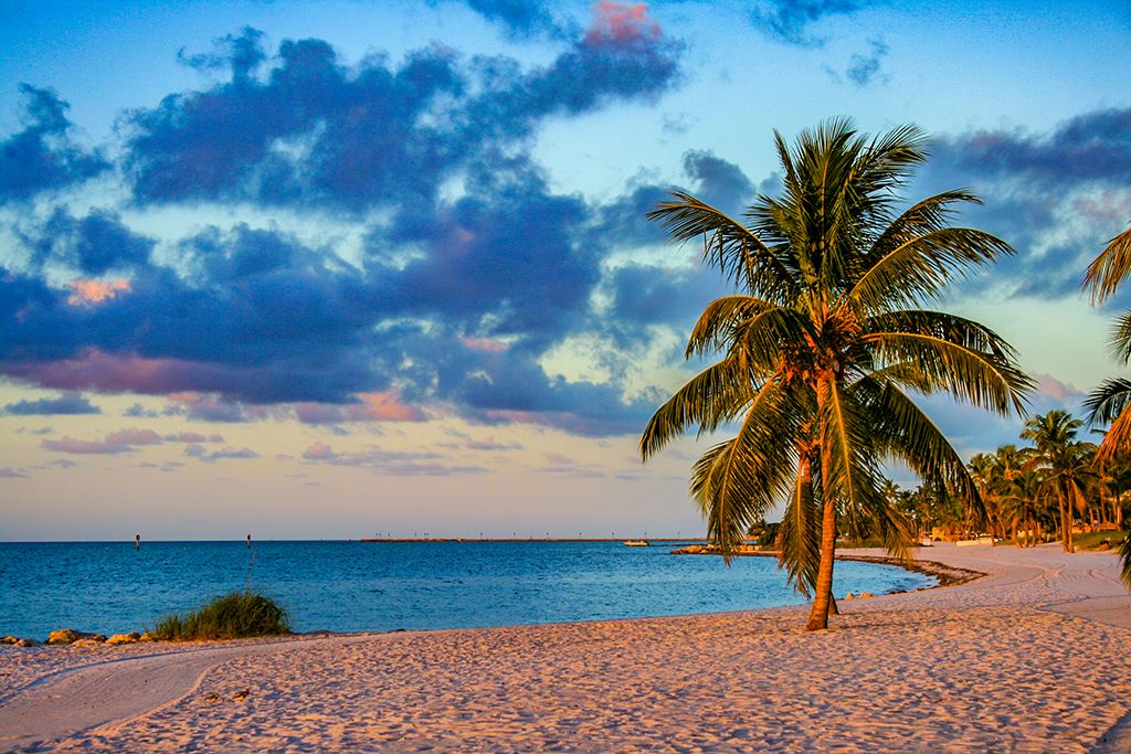 Smathers beach with Palm Trees on the water