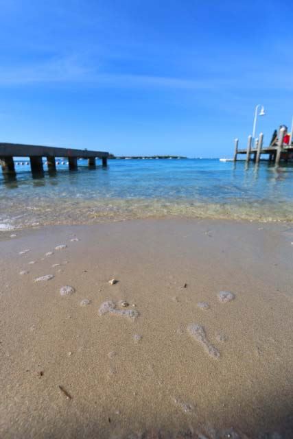 Simonton Street Beach with pier looking over water