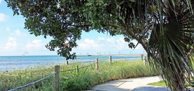 Boardwalk on C.B. Harvey Park