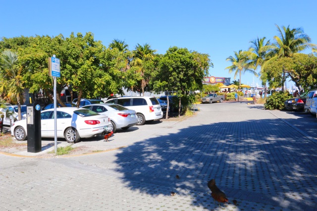 Conch Republic Parking Lot (Greene Street Lot)