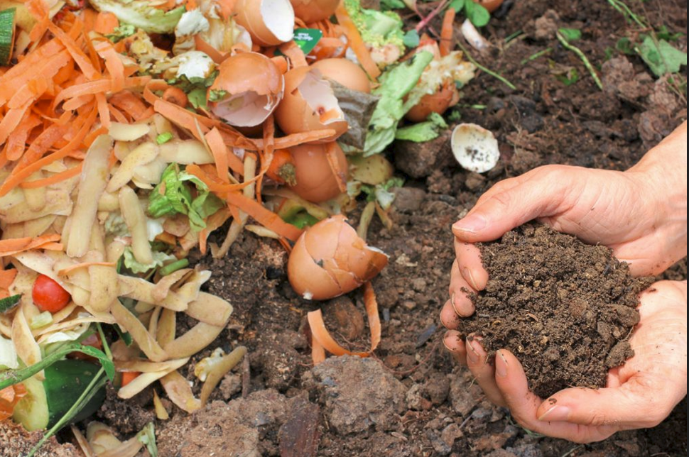 Compost with hands