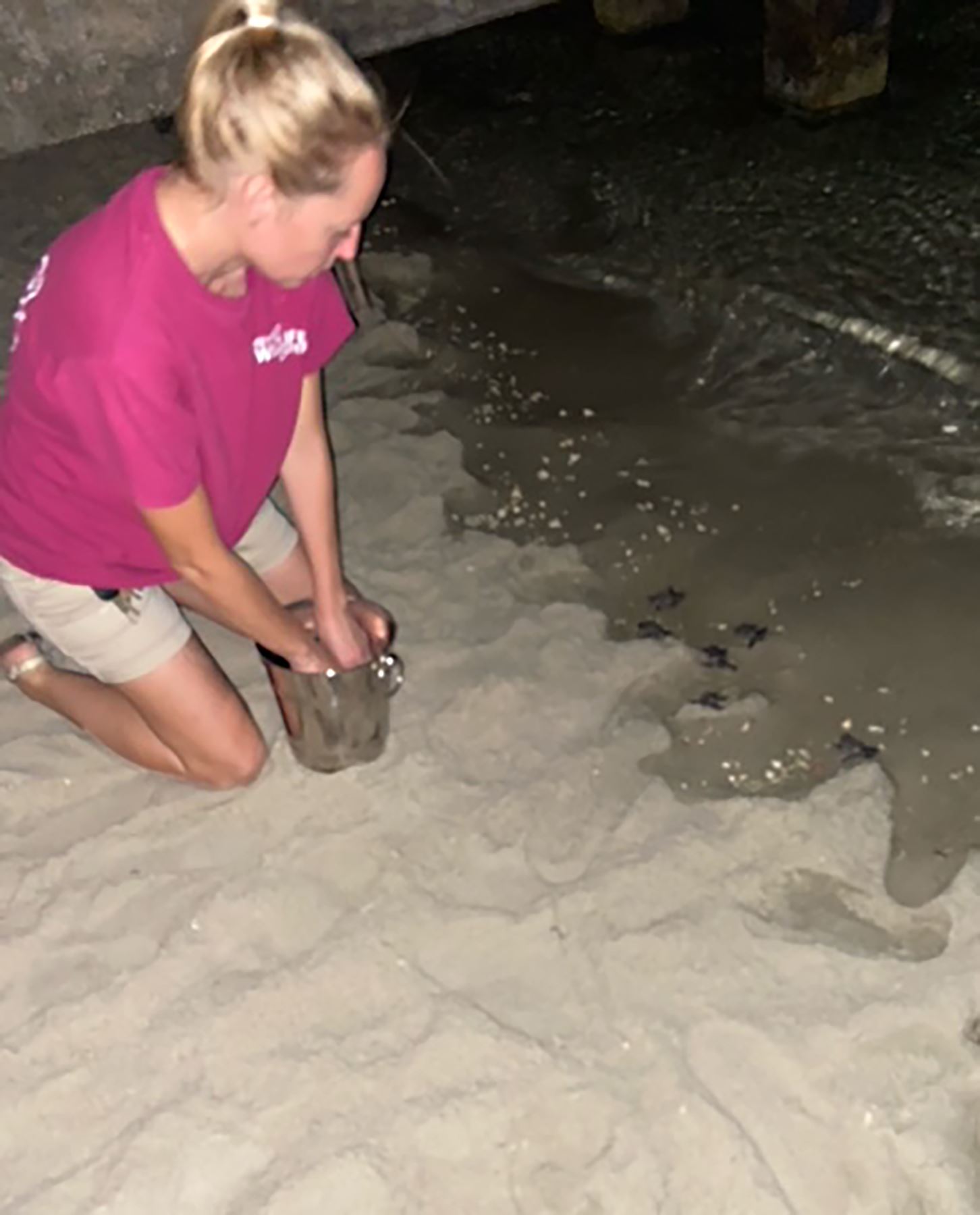 Turtles 3