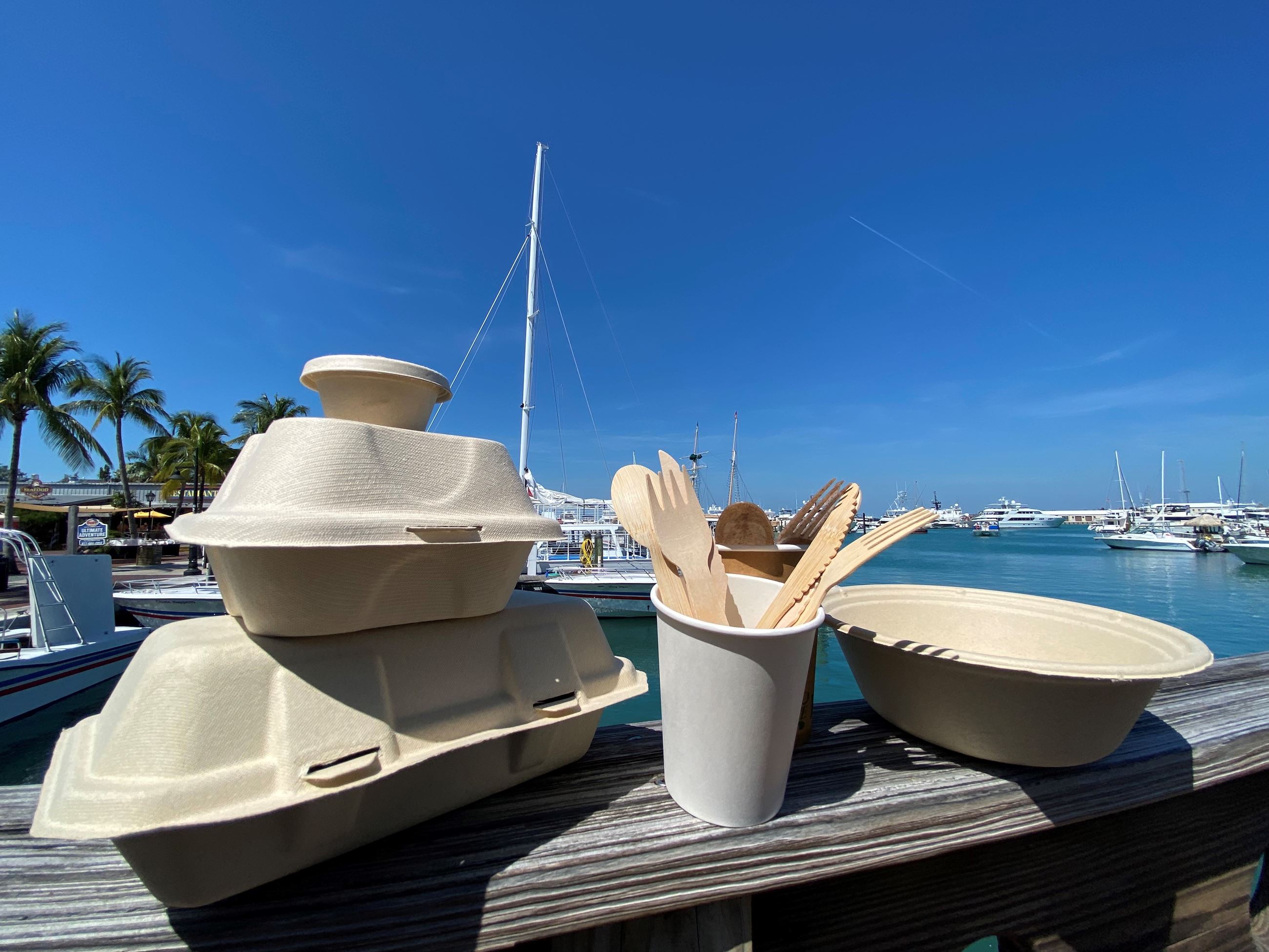 Plastics eligiable to recycle with Palm Trees