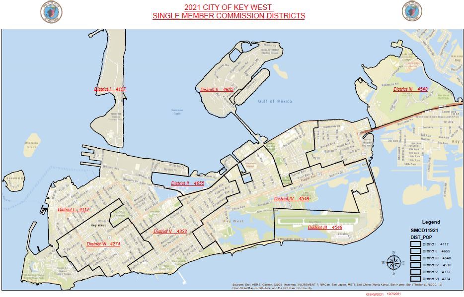2021 Single Member District