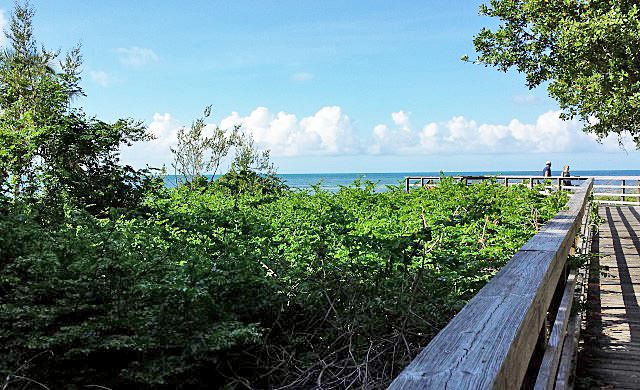 Nature Boardwalk leading to the beach